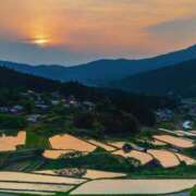 ヒメ日記 2026/02/06 16:01 投稿 れいか 奥鉄オクテツ東京店（デリヘル市場）