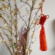 ヒメ日記 2026/02/07 14:32 投稿 れいか 奥鉄オクテツ東京店（デリヘル市場）