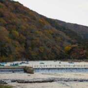 ヒメ日記 2026/02/07 20:30 投稿 れいか 奥鉄オクテツ東京店（デリヘル市場）