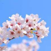 ヒメ日記 2026/03/25 19:01 投稿 れいか 奥鉄オクテツ東京店（デリヘル市場）