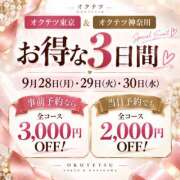 ヒメ日記 2026/09/27 20:00 投稿 れいか 奥鉄オクテツ東京店（デリヘル市場）