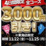 ヒメ日記 2024/11/21 19:13 投稿 るな 逢って30秒で即尺