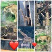 ヒメ日記 2026/04/02 14:08 投稿 るな 逢って30秒で即尺