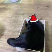 ヒメ日記 2024/12/10 10:59 投稿 ことみ アバンチュール（難波）