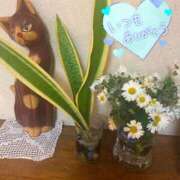 ヒメ日記 2024/12/11 00:21 投稿 ことみ アバンチュール（難波）