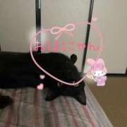 ヒメ日記 2024/12/26 09:43 投稿 ことみ アバンチュール（難波）