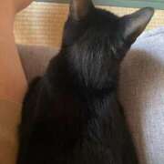 ヒメ日記 2024/12/28 15:40 投稿 ことみ アバンチュール（難波）