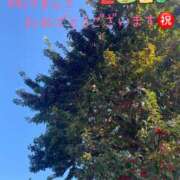 ヒメ日記 2025/01/03 12:29 投稿 ことみ アバンチュール（難波）