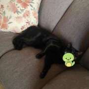 ヒメ日記 2025/01/04 23:56 投稿 ことみ アバンチュール（難波）