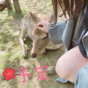 ヒメ日記 2025/01/06 09:16 投稿 ことみ アバンチュール（難波）