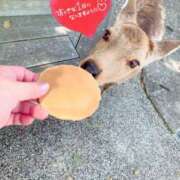 ヒメ日記 2025/01/07 10:51 投稿 ことみ アバンチュール（難波）