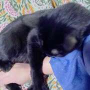 ヒメ日記 2025/01/10 20:39 投稿 ことみ アバンチュール（難波）