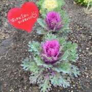 ヒメ日記 2025/01/12 07:50 投稿 ことみ アバンチュール（難波）