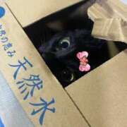 ヒメ日記 2025/01/14 09:14 投稿 ことみ アバンチュール（難波）