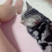 ヒメ日記 2025/01/14 14:40 投稿 ことみ アバンチュール（難波）