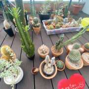 ヒメ日記 2025/01/22 09:09 投稿 ことみ アバンチュール（難波）