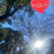 ヒメ日記 2025/01/23 10:16 投稿 ことみ アバンチュール（難波）