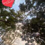 ヒメ日記 2025/01/26 07:53 投稿 ことみ アバンチュール（難波）