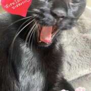 ヒメ日記 2025/01/28 13:39 投稿 ことみ アバンチュール（難波）