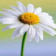 ヒメ日記 2025/02/11 06:20 投稿 ことみ アバンチュール（難波）