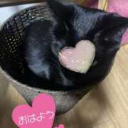 ヒメ日記 2025/02/28 08:48 投稿 ことみ アバンチュール（難波）