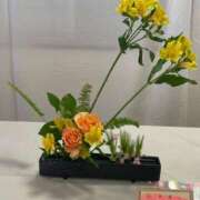 ヒメ日記 2025/03/04 09:17 投稿 ことみ アバンチュール（難波）