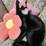 ヒメ日記 2025/03/06 10:46 投稿 ことみ アバンチュール（難波）