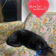 ヒメ日記 2025/03/17 14:20 投稿 ことみ アバンチュール（難波）