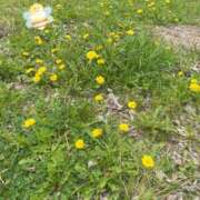 ヒメ日記 2025/04/02 10:52 投稿 ことみ アバンチュール（難波）