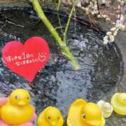 ヒメ日記 2025/04/21 10:15 投稿 ことみ アバンチュール（難波）