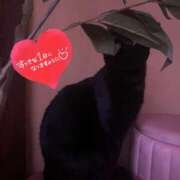 ヒメ日記 2025/05/01 11:17 投稿 ことみ アバンチュール（難波）