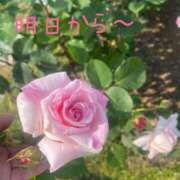 ヒメ日記 2025/05/01 23:57 投稿 ことみ アバンチュール（難波）