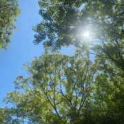 ヒメ日記 2025/05/02 13:37 投稿 ことみ アバンチュール（難波）