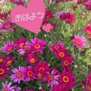 ヒメ日記 2025/05/04 07:17 投稿 ことみ アバンチュール（難波）