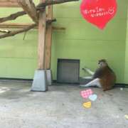 ヒメ日記 2025/05/06 07:10 投稿 ことみ アバンチュール（難波）