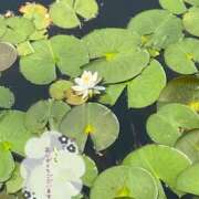 ヒメ日記 2025/05/06 09:02 投稿 ことみ アバンチュール（難波）