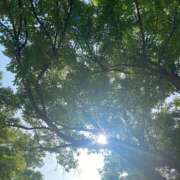 ヒメ日記 2025/05/20 16:55 投稿 ことみ アバンチュール（難波）