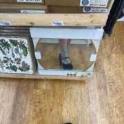 ヒメ日記 2025/05/24 21:25 投稿 ことみ アバンチュール（難波）