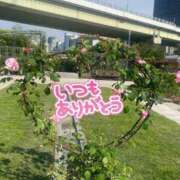 ヒメ日記 2025/05/26 14:36 投稿 ことみ アバンチュール（難波）