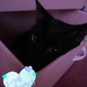 ヒメ日記 2025/05/31 00:36 投稿 ことみ アバンチュール（難波）