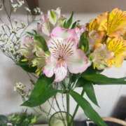 ヒメ日記 2025/06/08 09:06 投稿 ことみ アバンチュール（難波）