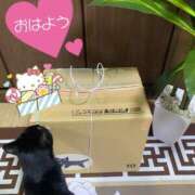 ヒメ日記 2025/06/15 06:32 投稿 ことみ アバンチュール（難波）