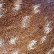 ヒメ日記 2025/06/18 18:18 投稿 ことみ アバンチュール（難波）