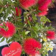 ヒメ日記 2025/06/20 09:02 投稿 ことみ アバンチュール（難波）