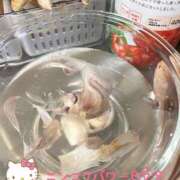 ヒメ日記 2025/06/24 14:16 投稿 ことみ アバンチュール（難波）