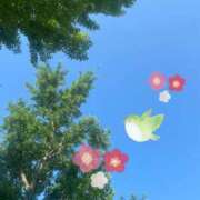 ヒメ日記 2025/06/27 10:21 投稿 ことみ アバンチュール（難波）