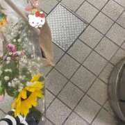 ヒメ日記 2025/06/28 22:52 投稿 ことみ アバンチュール（難波）