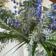 ヒメ日記 2025/07/10 08:58 投稿 ことみ アバンチュール（難波）