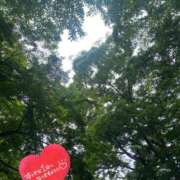 ヒメ日記 2025/07/11 07:16 投稿 ことみ アバンチュール（難波）