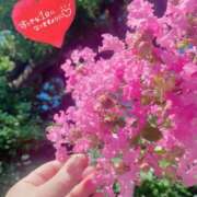 ヒメ日記 2025/07/13 09:42 投稿 ことみ アバンチュール（難波）